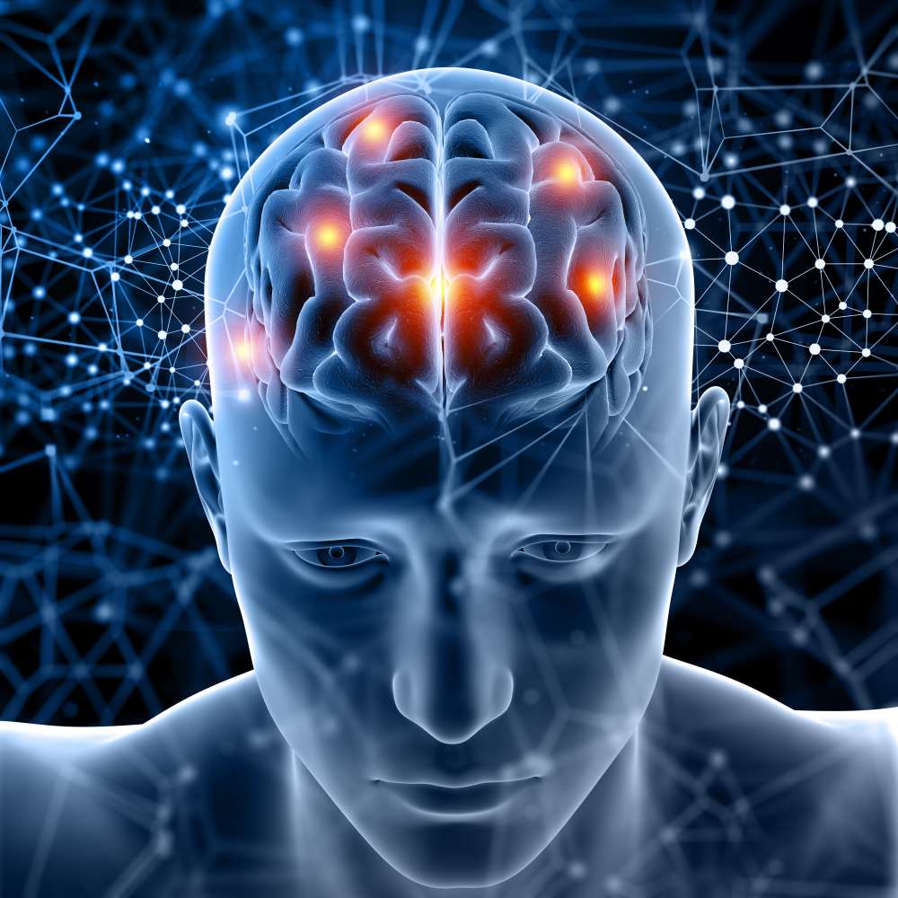Terapia para la neurodivergencia en Barcelona - Centre Psicologic Padua